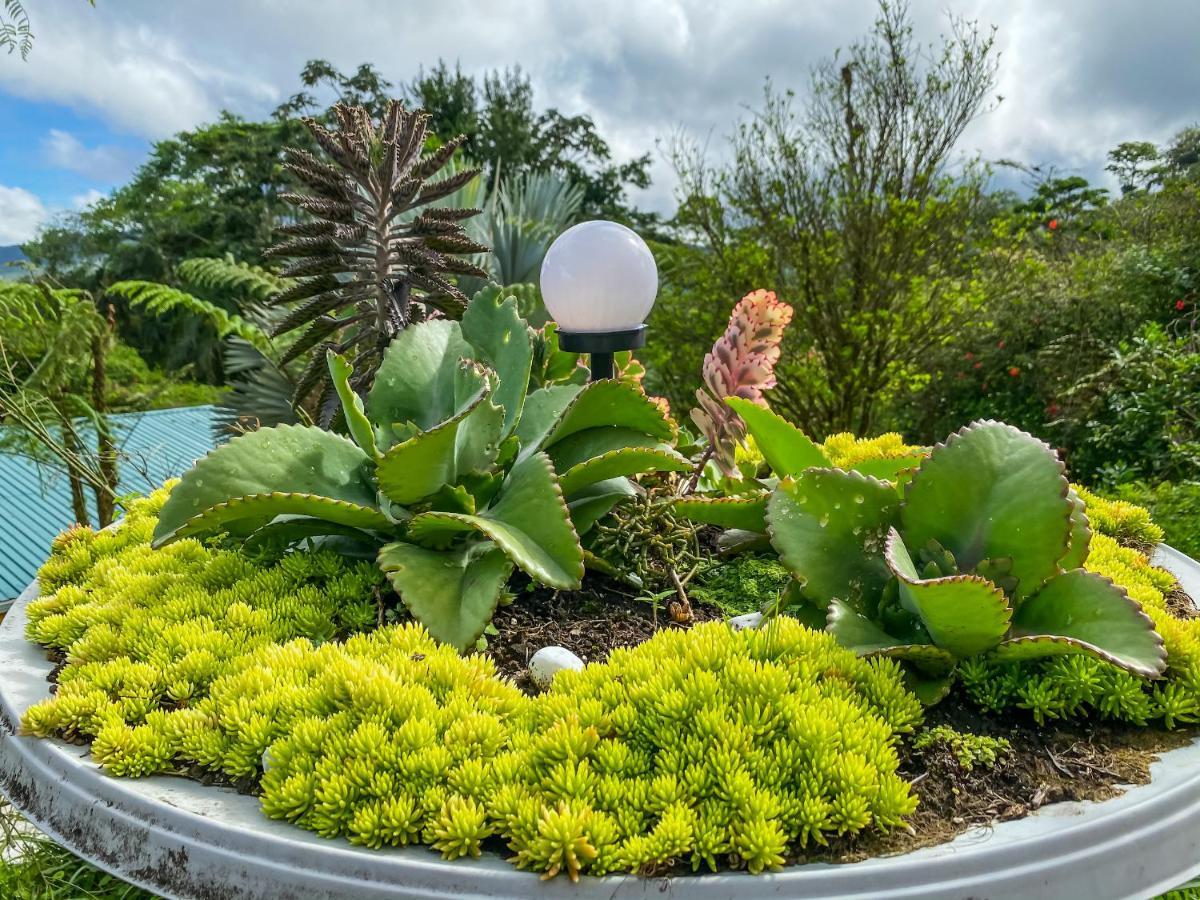 Retiro Del Lago Arenal Lodge El Castillo Exteriér fotografie